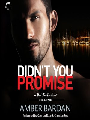 cover image of Didn't You Promise